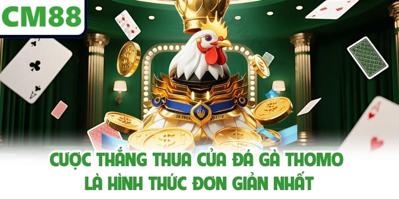Cược thắng thua của đá gà Thomo là hình thức đơn giản nhất