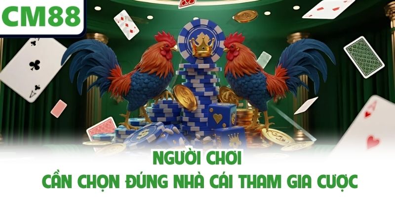 Người chơi cần chọn đúng nhà cái tham gia cược