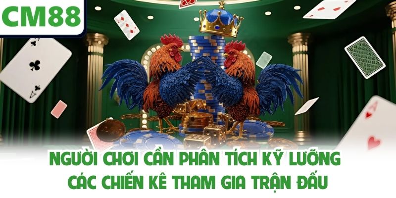 Người chơi cần phân tích kỹ lưỡng các chiến kê tham gia trận đấu