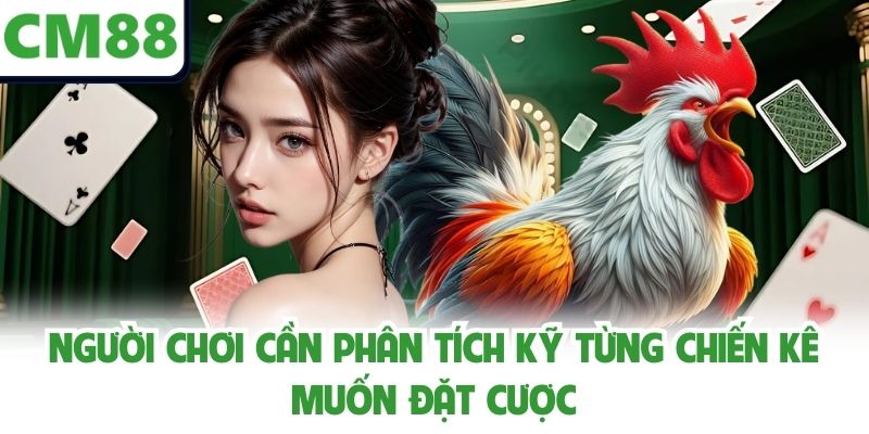 Người chơi cần phân tích kỹ từng chiến kê muốn đặt cược